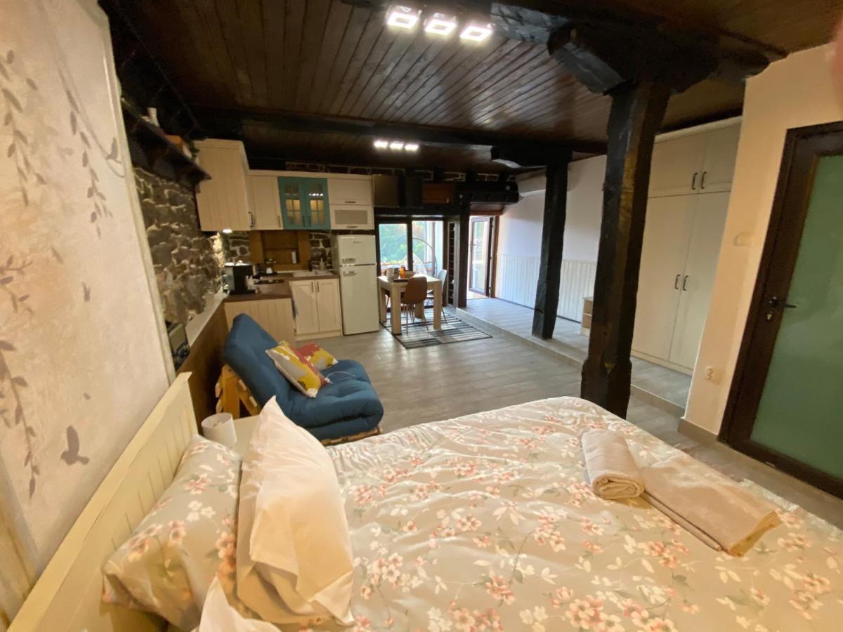 Studio Spring Villa Veliko Turnovo Bagian luar foto